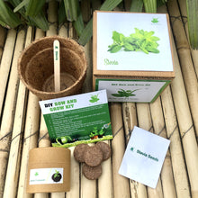 Load image into Gallery viewer, DIY Gardening 4 Medicinal Plant Kits  | Tulsi + Moringa + Ashwagandha + Stevia
