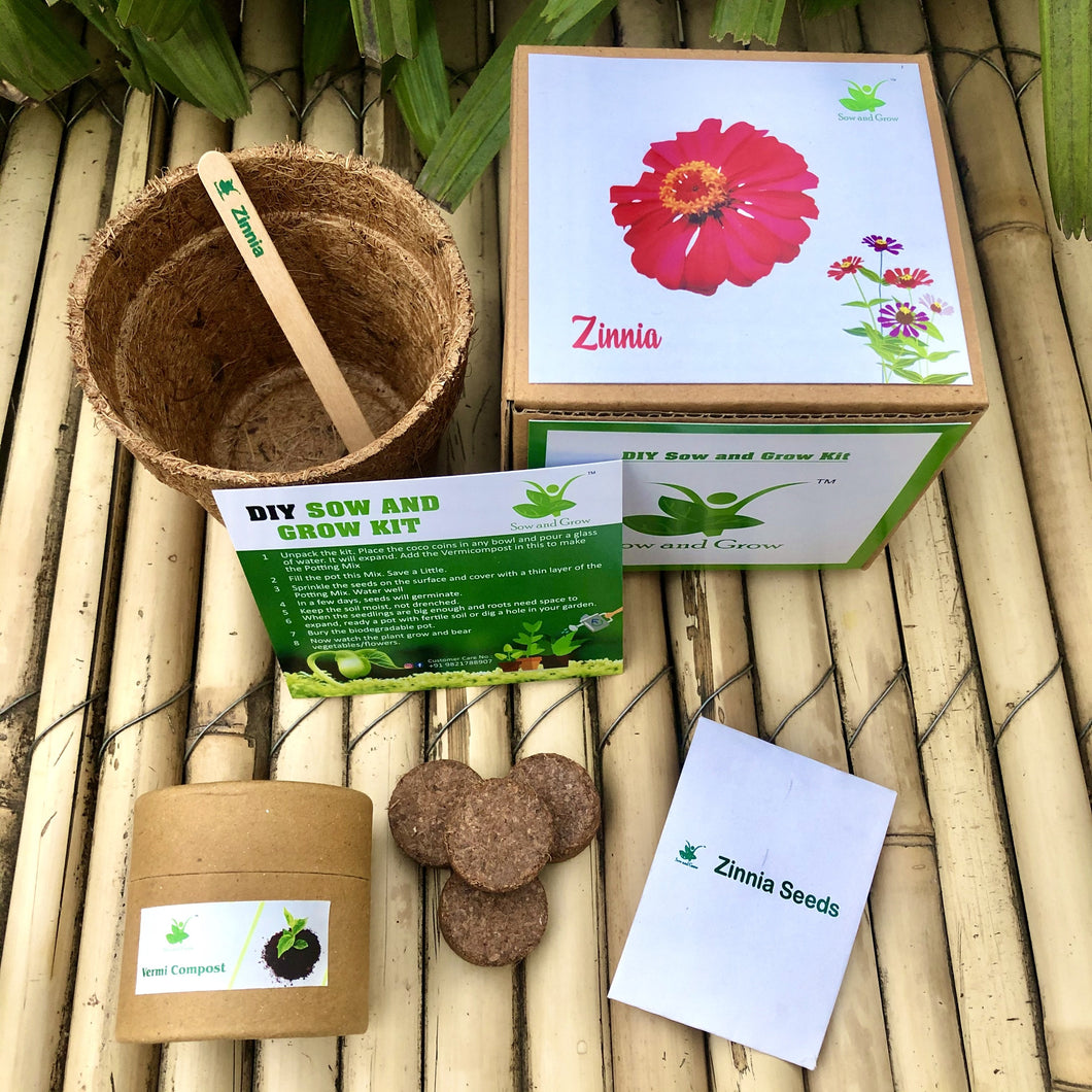 Sow and Grow DIY Gardening Kit of Zinnia Flowers