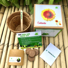 Load image into Gallery viewer, DIY Gardening 6 Flower Kits Combo | Marigold + Sunflower + Cosmos + Vinca + Gaillardia +Zinnia
