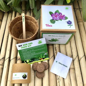 DIY Gardening 6 Flower Kits Combo | Marigold + Sunflower + Cosmos + Vinca + Gaillardia +Zinnia