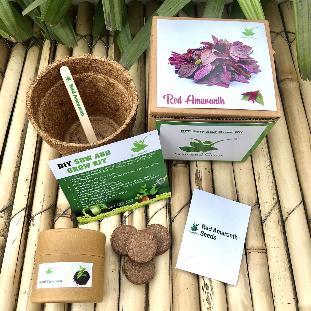 Sow and Grow DIY Gardening Kit of Red Amaranth / Lal Saag (Grow it Yourself Vegetable Kit)