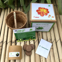 Load image into Gallery viewer, DIY Gardening 6 Flower Kits Combo | Marigold + Sunflower + Cosmos + Vinca + Gaillardia +Zinnia
