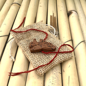 Aeroplane: Clay Rakhi with Seeds