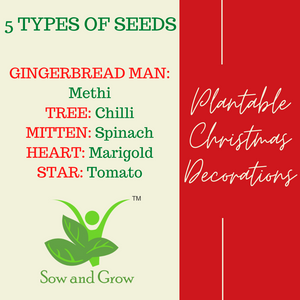 Christmas Special: Plantable Christmas Hanging Ornaments Decoration with 5 Types of Seeds