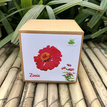 Load image into Gallery viewer, Sow and Grow DIY Gardening Kit of Zinnia Flowers
