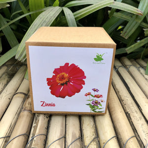Sow and Grow DIY Gardening Kit of Zinnia Flowers