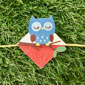 Owl on a Branch :Kids 3-in-1 Bookmark Plantable Rakhi