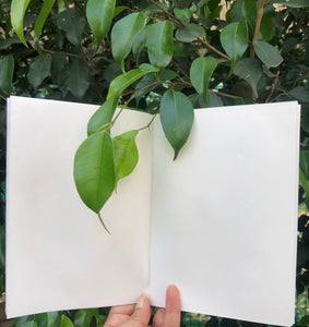 Jute Bag Collection: 1 Plantable Diary and 12 Plantable Pencil Combo in a Re-usable Stationary Box