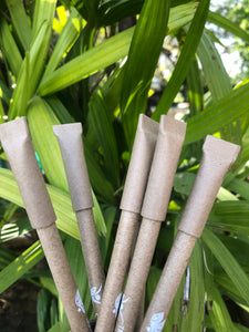 Sow and Grow Plantable 4+4 Combo : 4 Seed Pencils + 4 Seed Paper Pens in a Re-usable Stationary Box