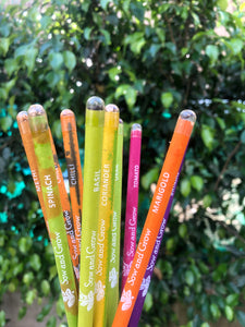 Sow and Grow Plantable Recycled Seed Pencils (Pack of 10 Single Pencils) - Gift Pack