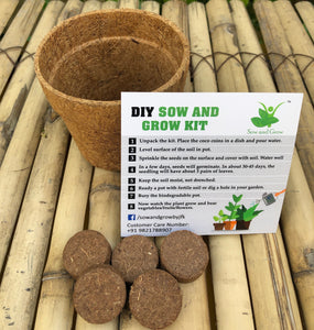 Sow and Grow DIY Gardening Kit of Okra / Ladyfinger / Bhindi (Grow it Yourself Vegetable Kit)