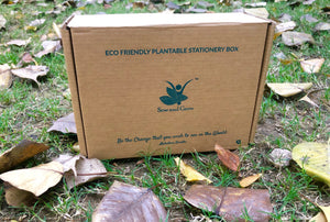 Brown Box Collection: 5 Seed Paper Pencils + 1 Seed Diary + 1 Seed ball