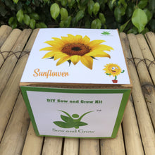 Load image into Gallery viewer, Sow and Grow DIY Gardening Kit of Sunflower (Grow it Yourself Flower Kit)
