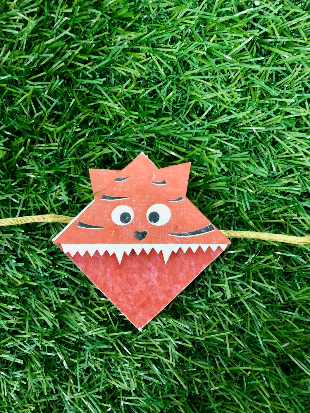 Tiger :Kids 3-in-1 Bookmark Plantable Rakhi
