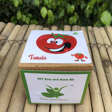 Load image into Gallery viewer, Sow and Grow DIY Gardening Kit of Tomato (Grow it Yourself Vegetable Kit)

