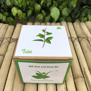 Sow and Grow DIY Gardening Kit of Rama Tulsi / Holy Basil (Grow it Yourself Kit)